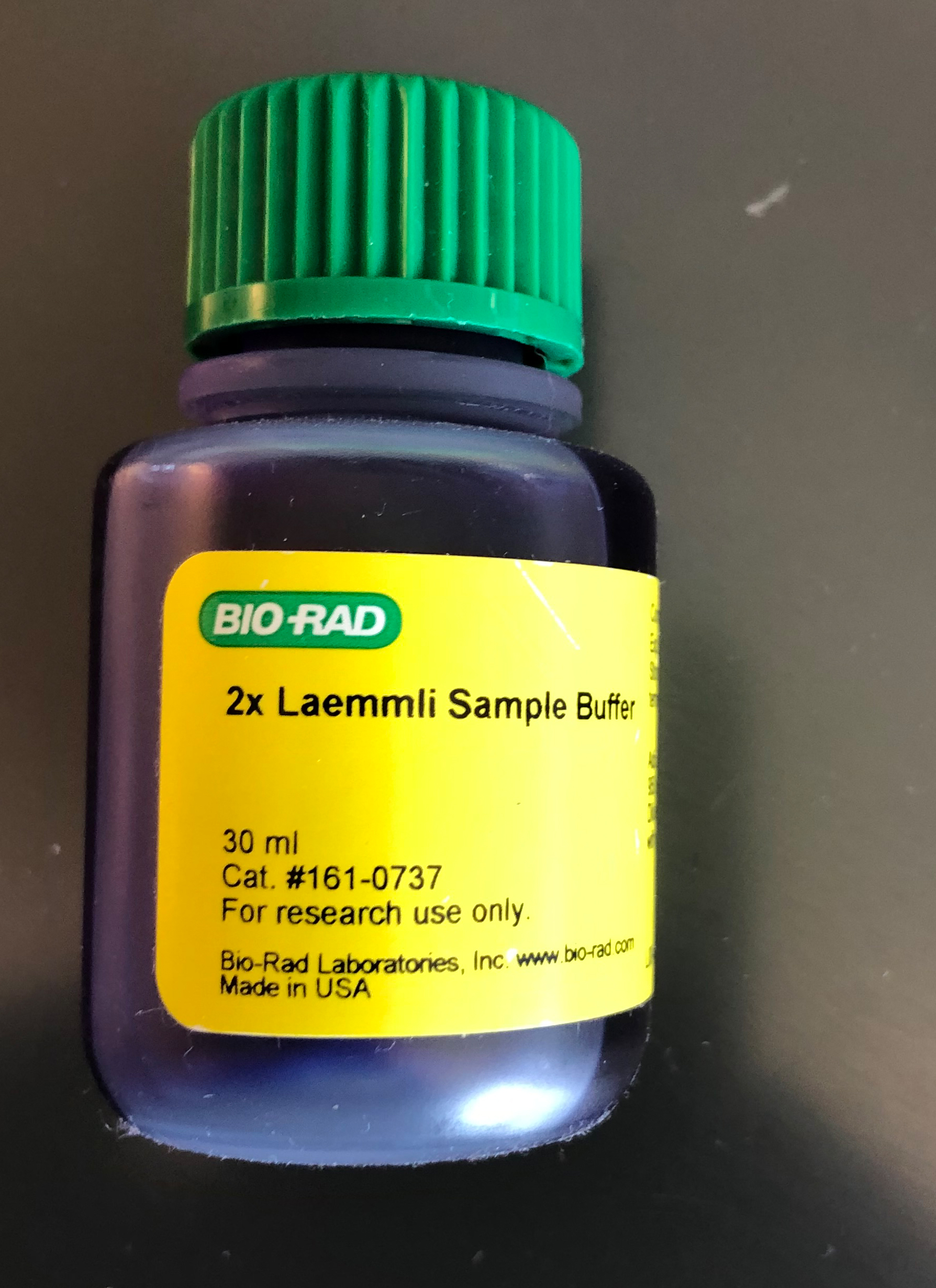 Great 2x Laemmli Sample Buffer for Western Blot Kit